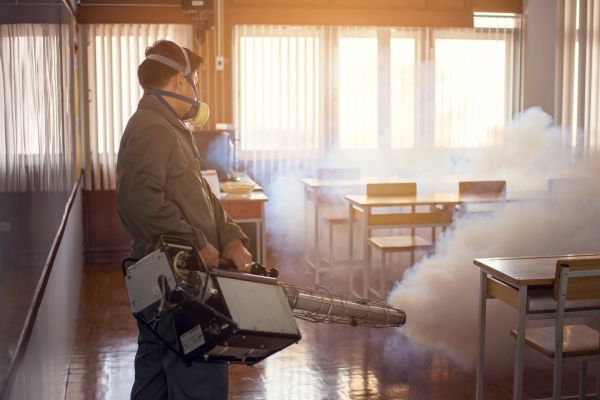 Flying Insect Control - Flying Insect Control Collin County, Texas