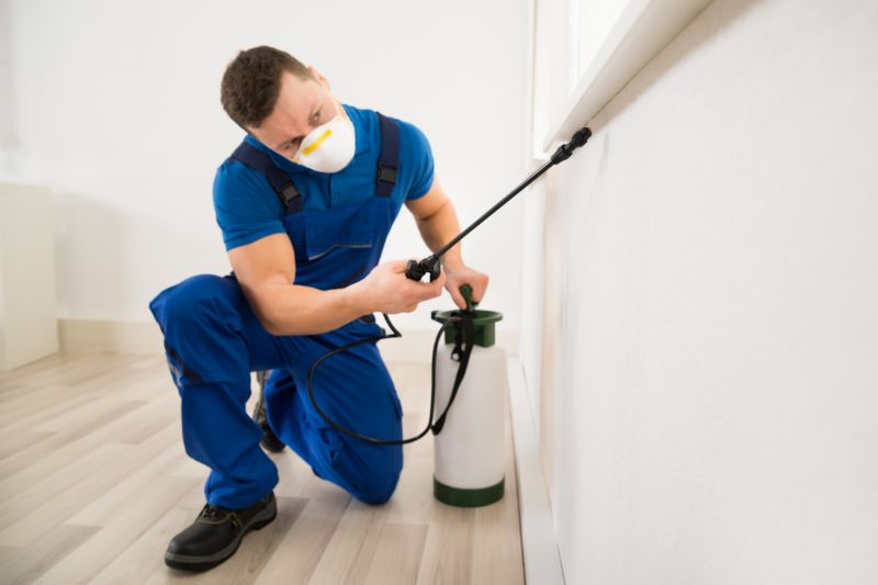 Moth Extermination in Katy, TX
