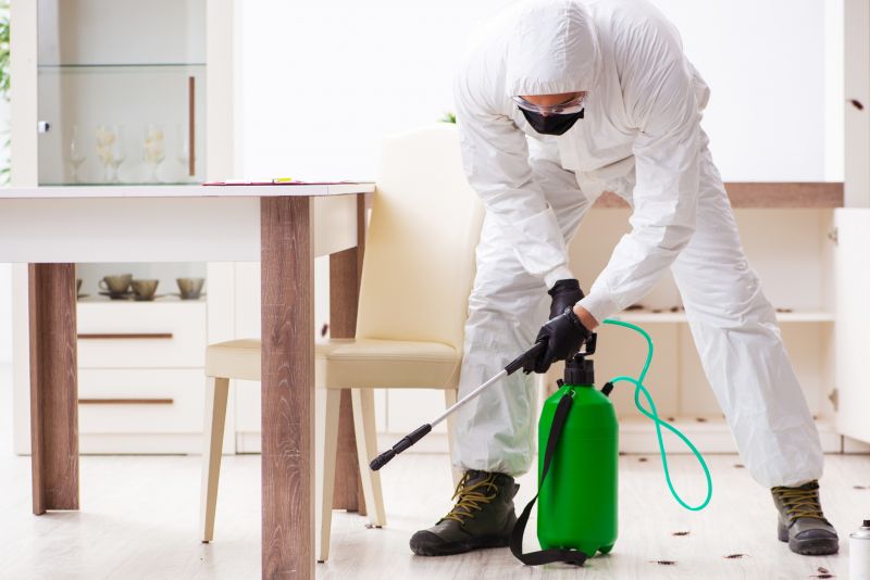 Pest Extermination Service in Frisco, TX