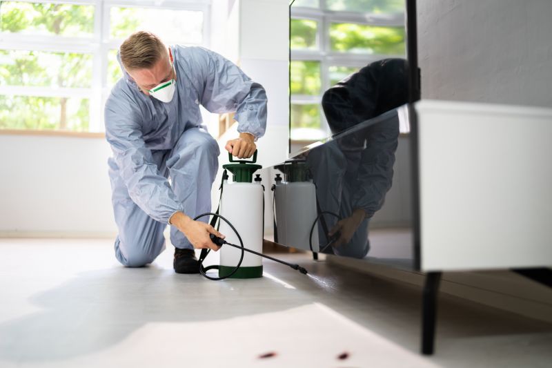 Pest Inspection Service in Frisco, TX